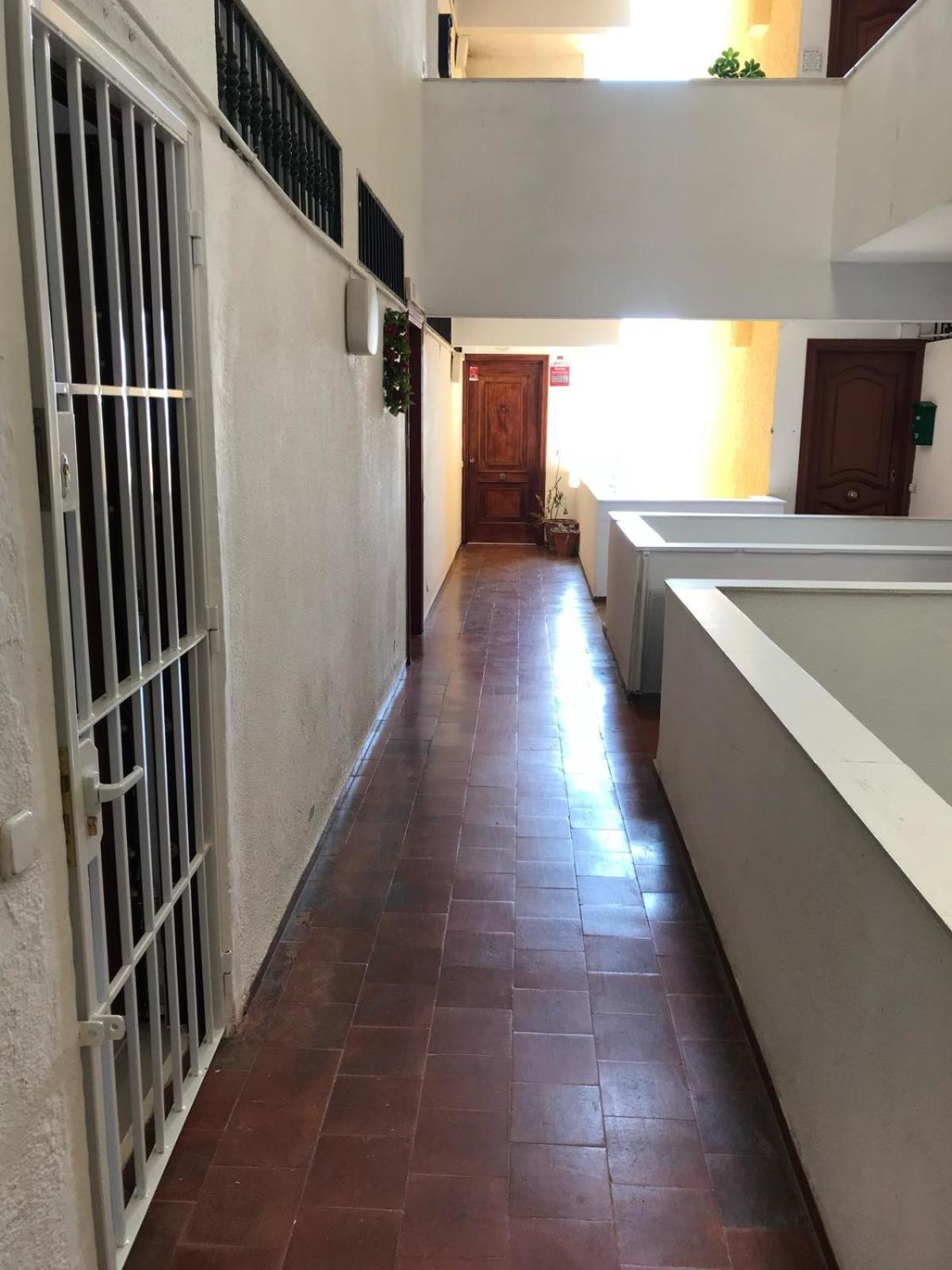 Palmeras 312