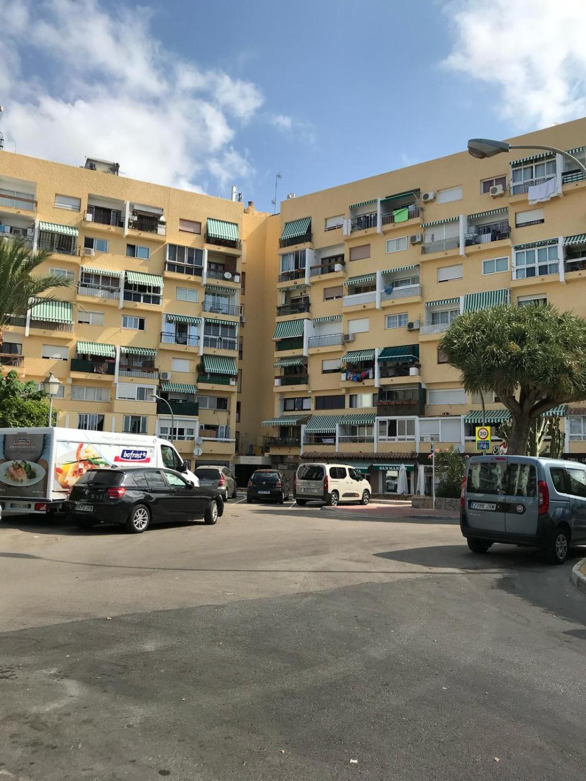 Palmeras 312